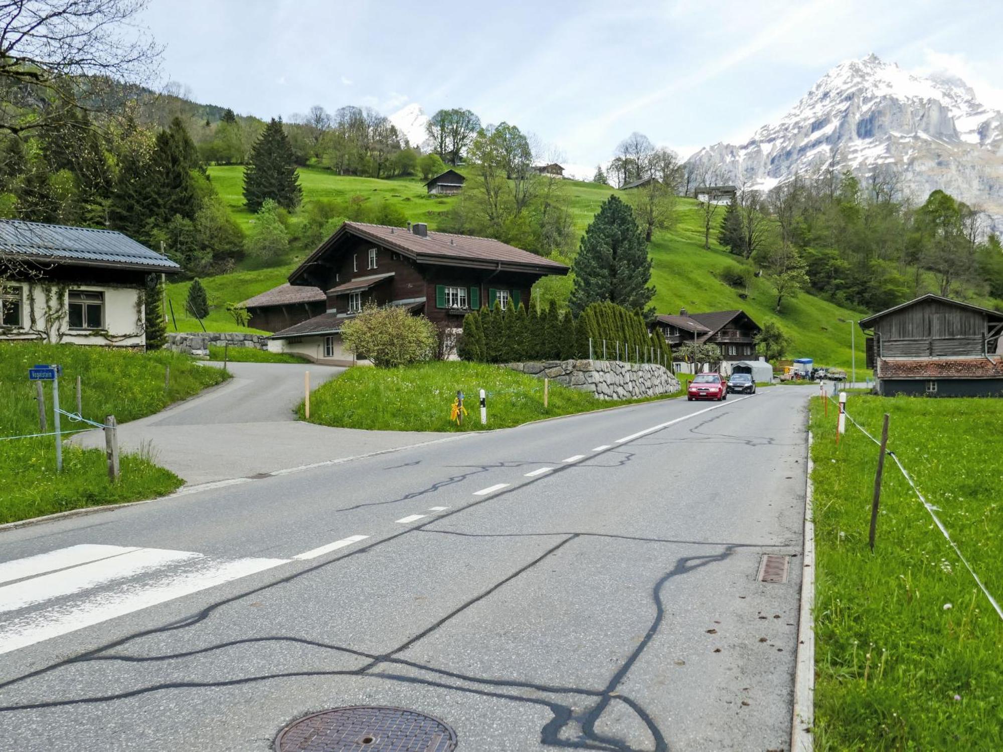 Apartment Chalet Auf Dem Vogelstein-1 By Interhome Grindelwald Bagian luar foto