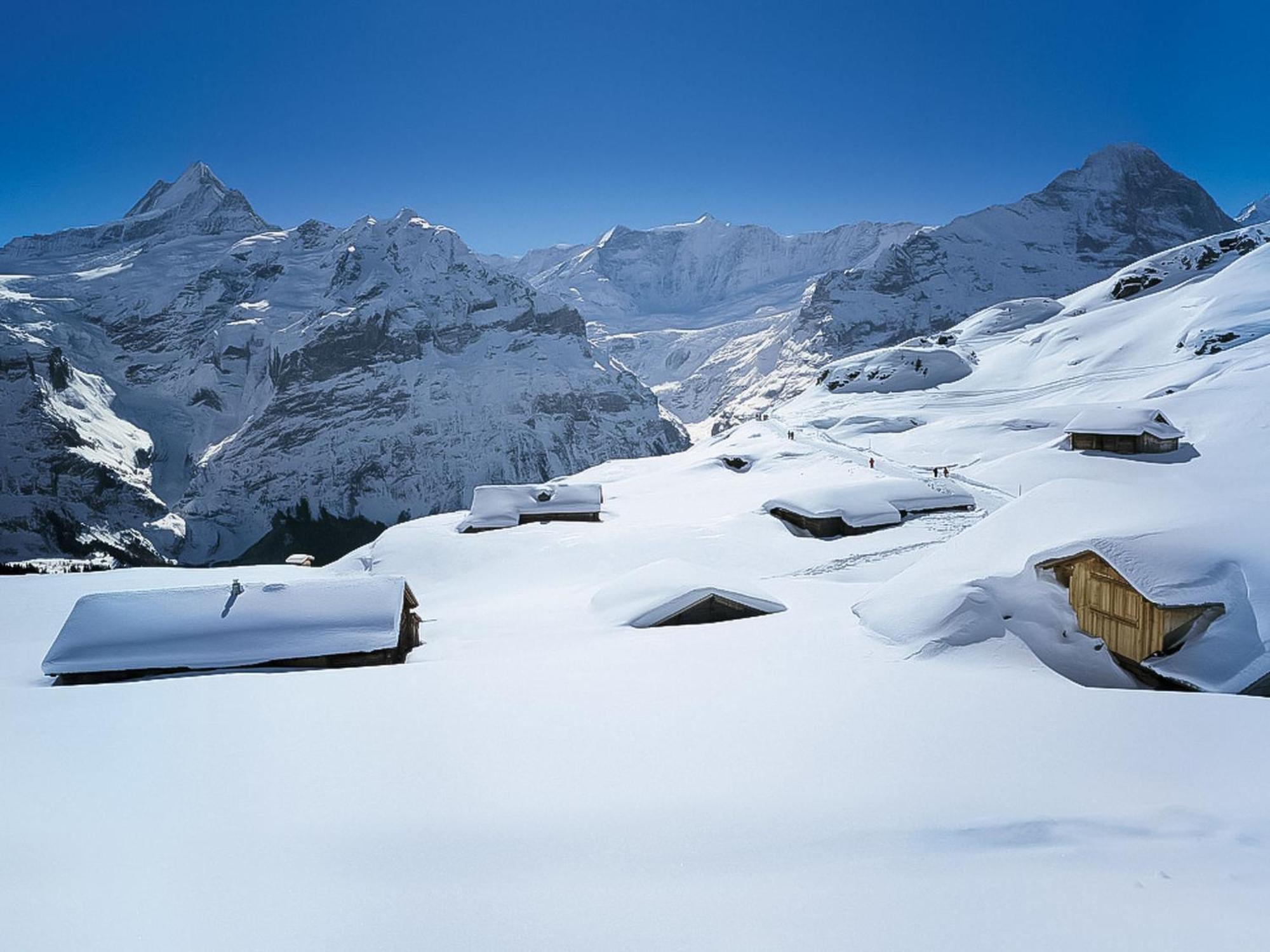 Apartment Chalet Auf Dem Vogelstein-1 By Interhome Grindelwald Bagian luar foto
