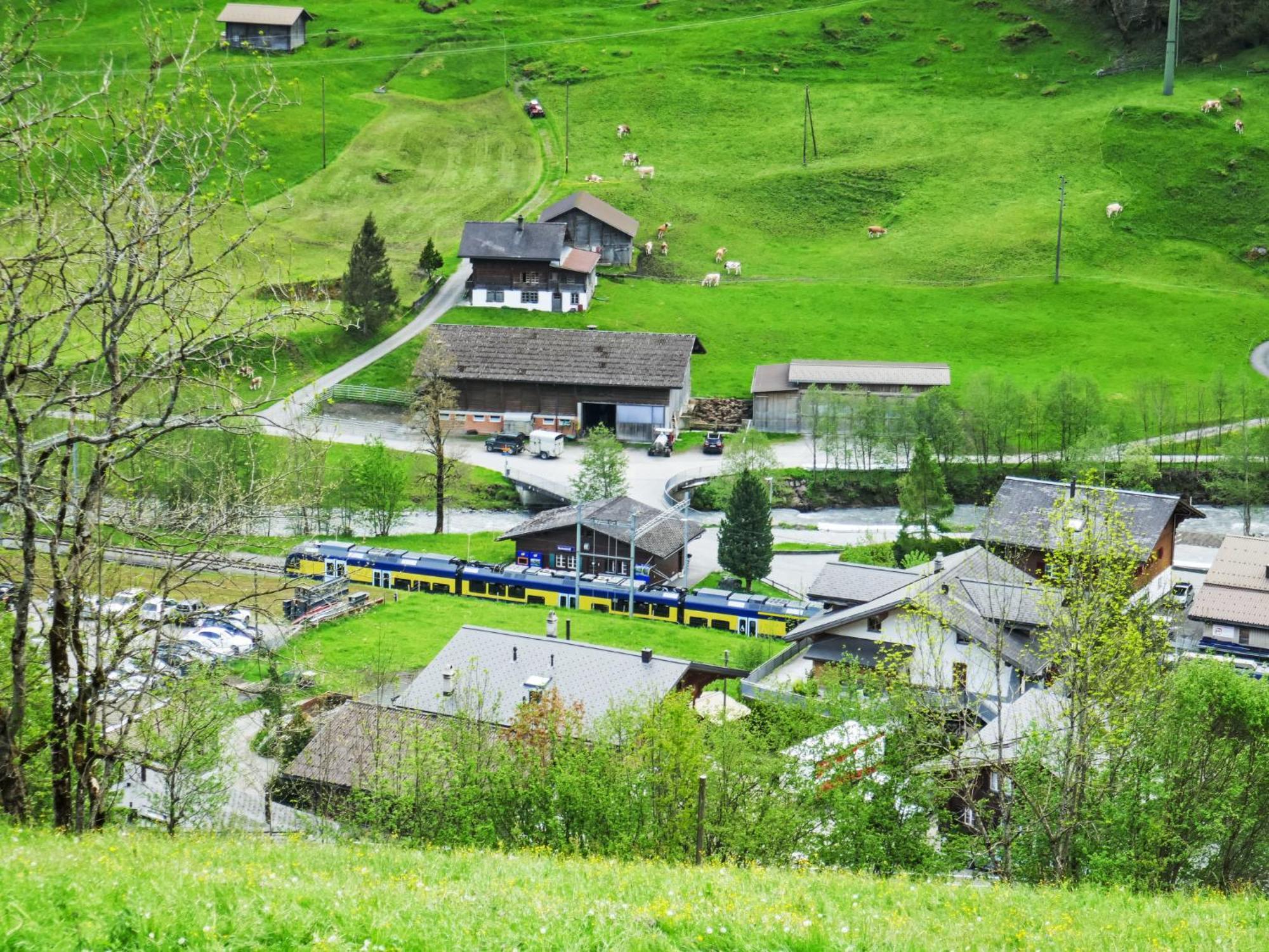 Apartment Chalet Auf Dem Vogelstein-1 By Interhome Grindelwald Bagian luar foto