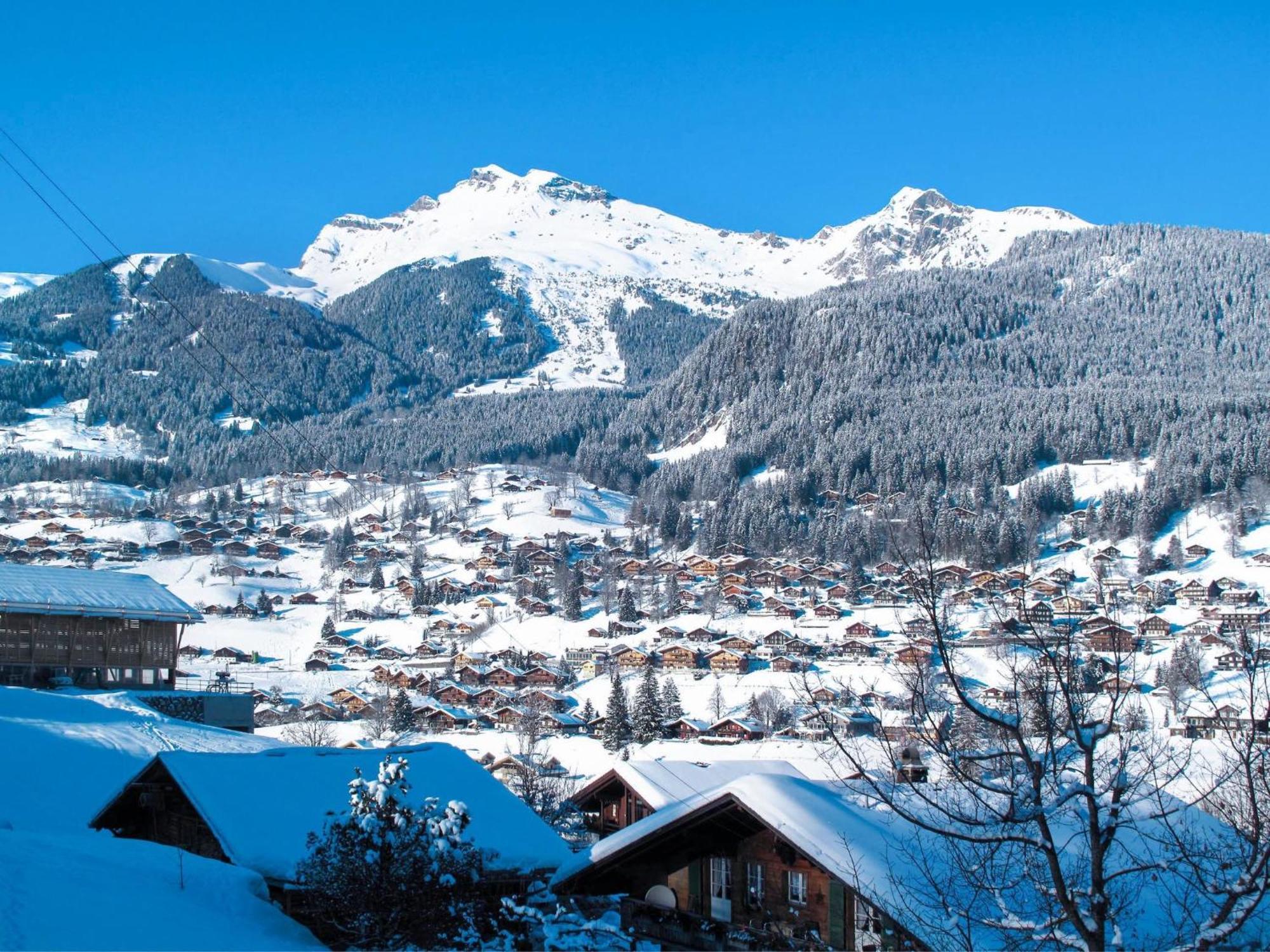 Apartment Chalet Auf Dem Vogelstein-1 By Interhome Grindelwald Bagian luar foto