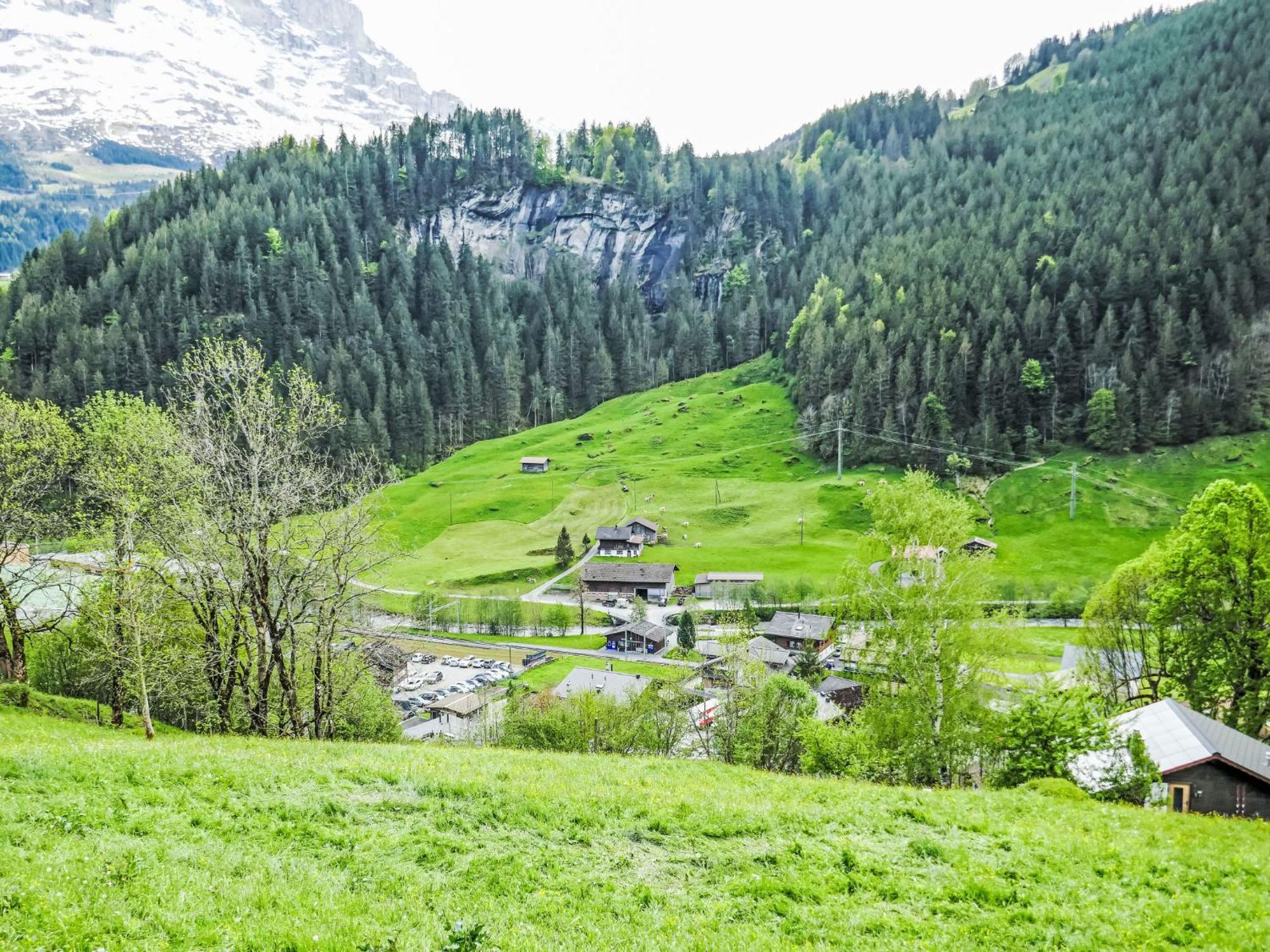 Apartment Chalet Auf Dem Vogelstein-1 By Interhome Grindelwald Bagian luar foto