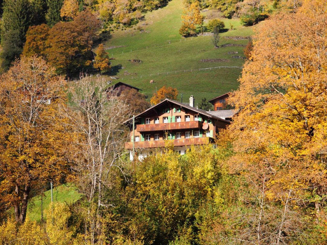 Apartment Chalet Auf Dem Vogelstein-1 By Interhome Grindelwald Bagian luar foto
